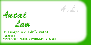 antal lam business card